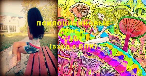 метадон Покачи