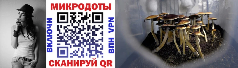 Псилоцибиновые грибы прущие грибы Владивосток