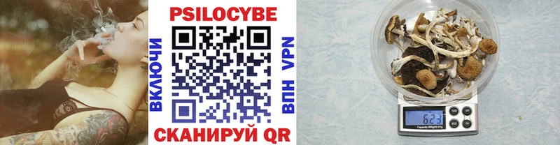 Псилоцибиновые грибы Cubensis  Купить  Владивосток 